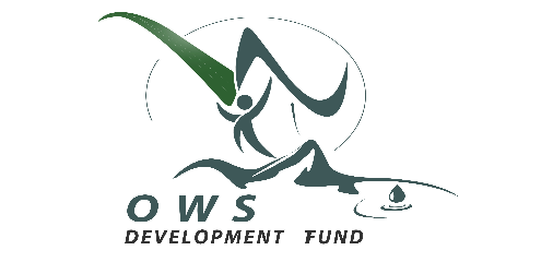 Ows Foundation OWS Development Fund